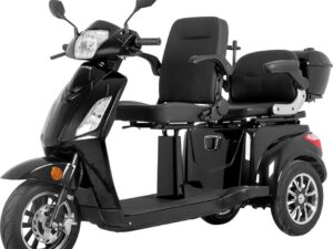 Kolmerattaline kahekohaline elektriline roller inSPORTline Zorica Duo