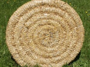 Õlgedest vibulaskmise sihtmärk inSPORTline, 100x9cm