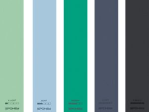 Erineva vastupidavuse tasemega spordirihmade komplekt (5 tk) Spokey ARTIO