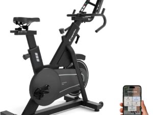 Exercise Bike inSPORTline ZenRoute 300