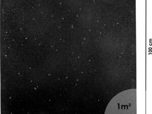 Heavy-Duty Floor Mat inSPORTline Proteko Plus Dot 100 x 100 x 2 cm