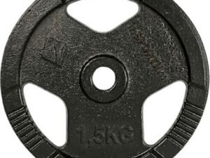 Cast Iron Weight Plate inSPORTline Hamerton Black 1.25 kg, 30 mm