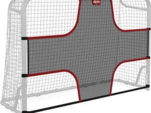 BERG SportsGoal Target Net S